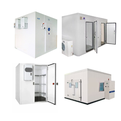 Freezer & Cold Chain